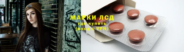 ГАЛЛЮЦИНОГЕННЫЕ ГРИБЫ Каменка