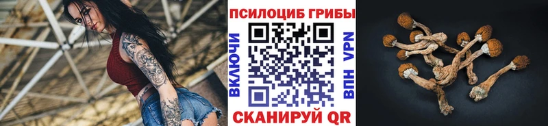 купить   kraken как войти  Псилоцибиновые грибы ЛСД  Краснокамск 
